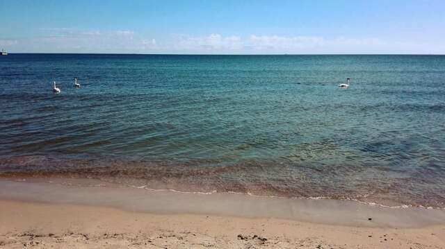 Апартаменты Apartament przy plaży Sopot Сопот-53